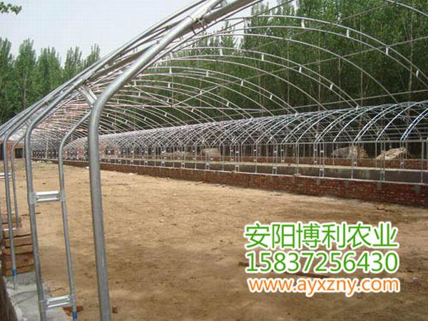 養殖大棚24