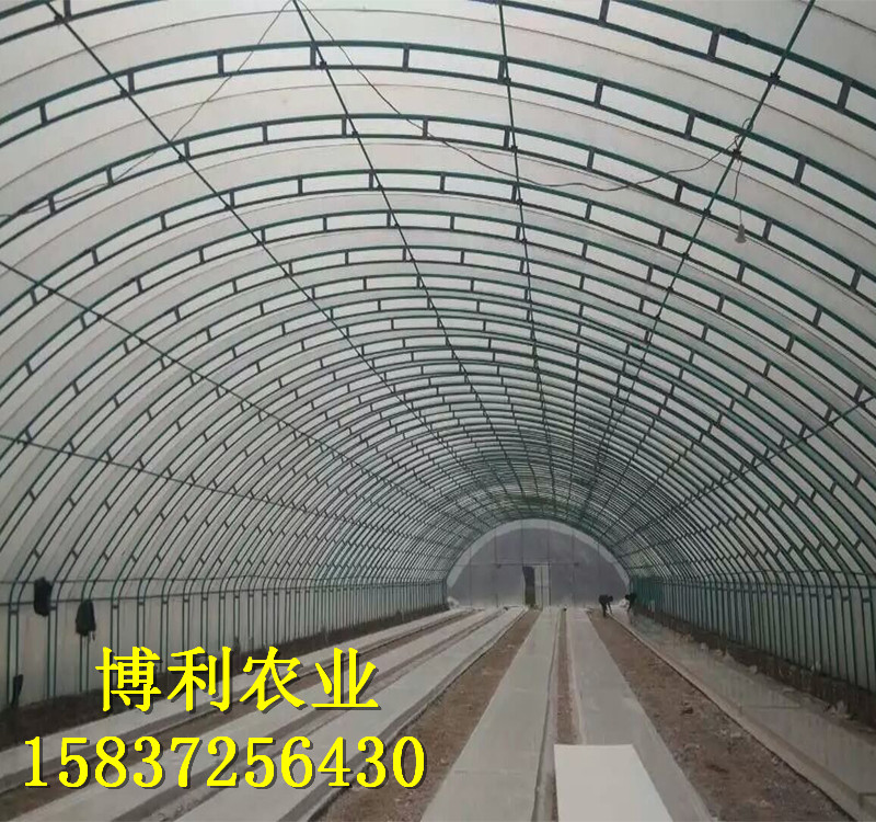養殖大棚30